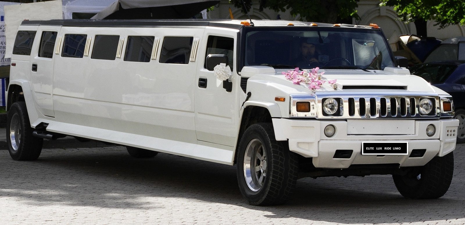Professional Limo Exterior